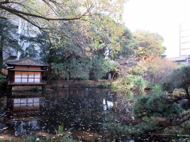 c0042960_1427225.jpg