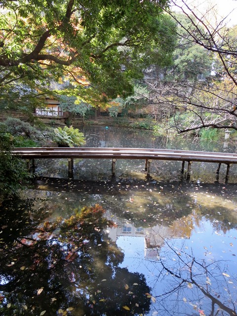 c0042960_14273254.jpg