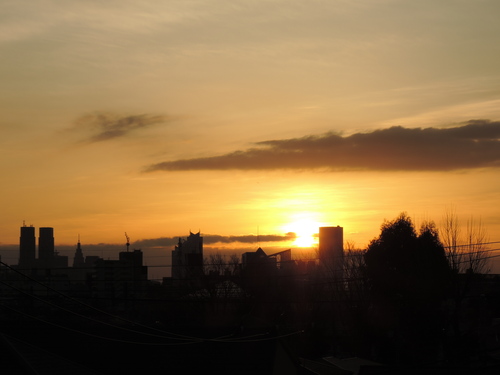 d0107660_1591286.jpg
