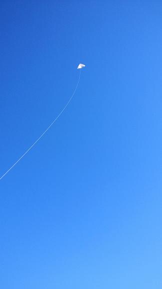 c0172261_0124030.jpg