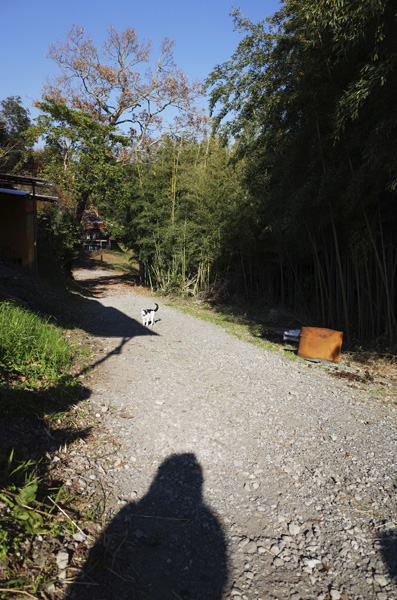 c0048265_16111696.jpg