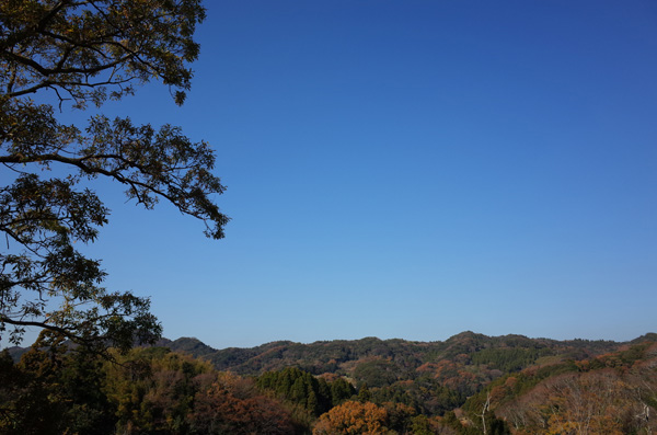 c0048265_1629075.jpg