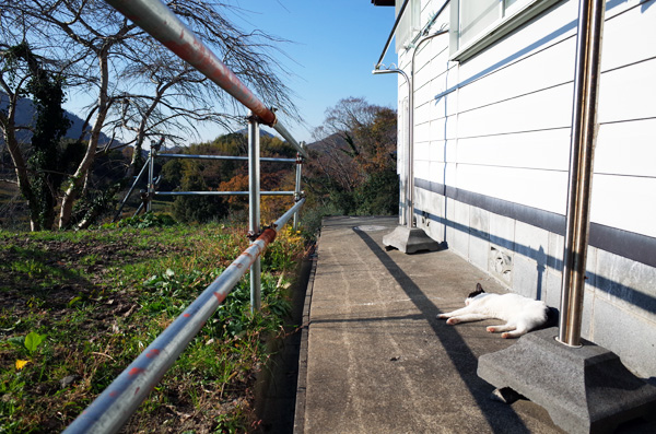 c0048265_16423721.jpg