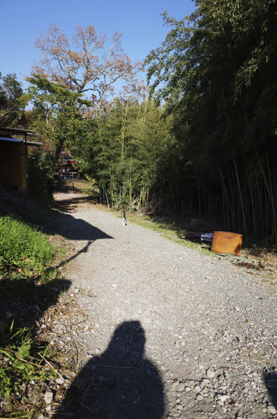 c0048265_1653048.jpg