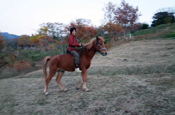 c0048265_2095723.jpg