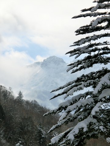 e0045768_22364450.jpg