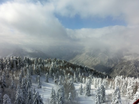 e0045768_2248131.jpg