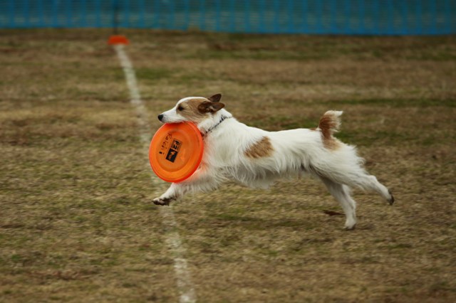 a0216469_13163147.jpg