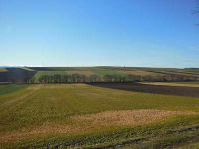 a0282071_655728.jpg