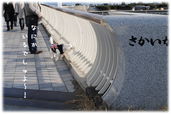 b0242873_22314716.png
