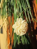 c0191676_23383139.jpg