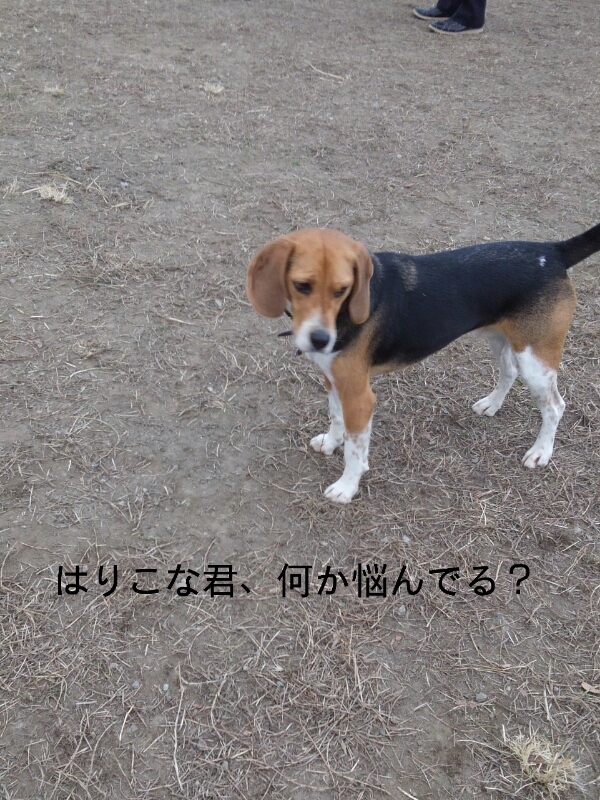 f0230380_22144623.jpg