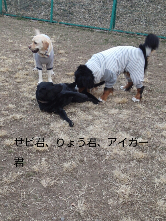 f0230380_22162196.jpg