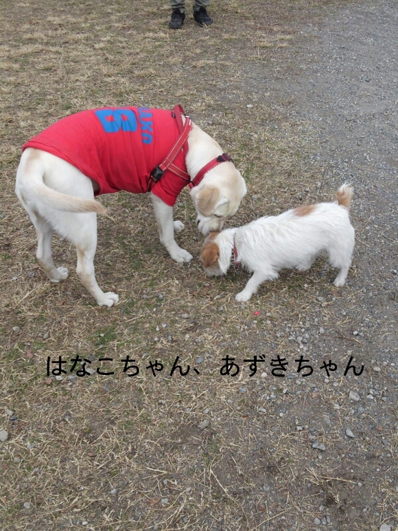 f0230380_22165434.jpg