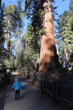 c0033994_7154284.jpg