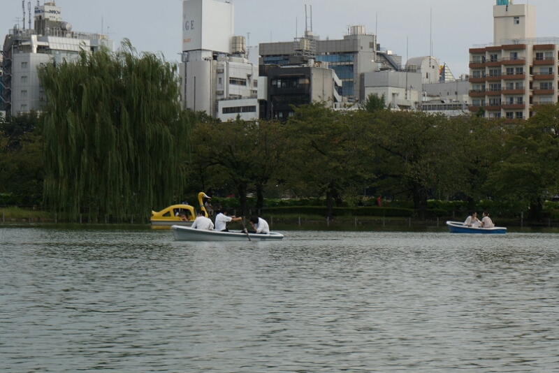 c0110906_055726.jpg