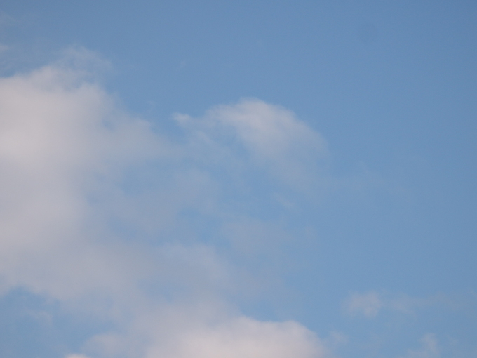 b0289815_162901.jpg