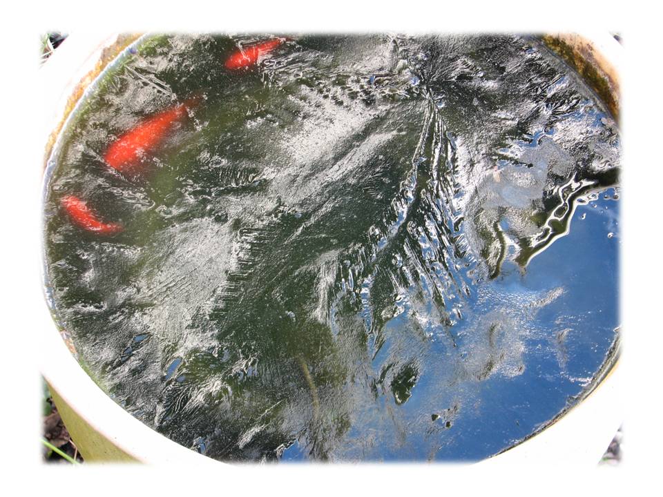 f0175115_2212251.jpg