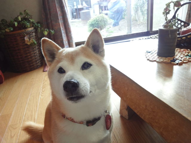 c0060620_1262870.jpg