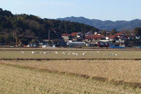 f0007926_14592333.jpg
