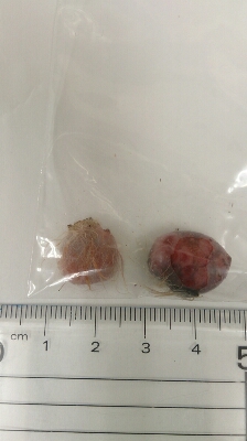 f0222527_22531428.jpg
