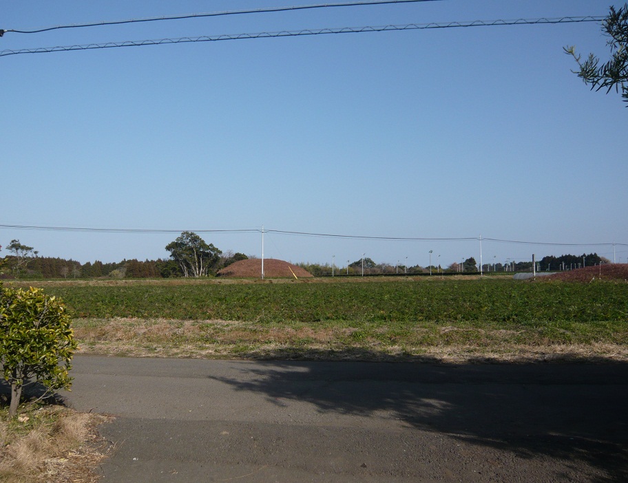 a0206332_1085665.jpg