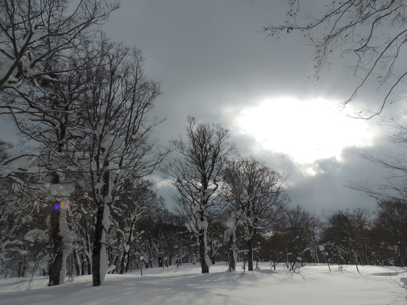 f0118332_0222818.jpg
