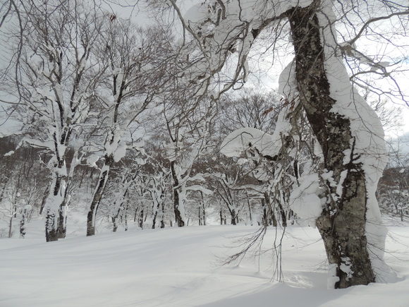f0118332_0232233.jpg