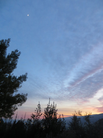f0234936_7341849.jpg