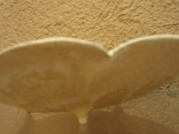 b0132442_18053610.jpg