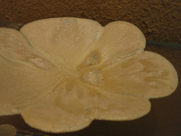 b0132442_18054598.jpg