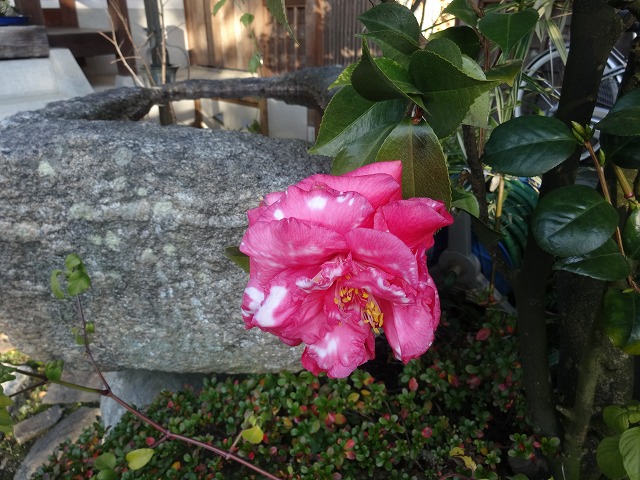 b0299042_21115210.jpg