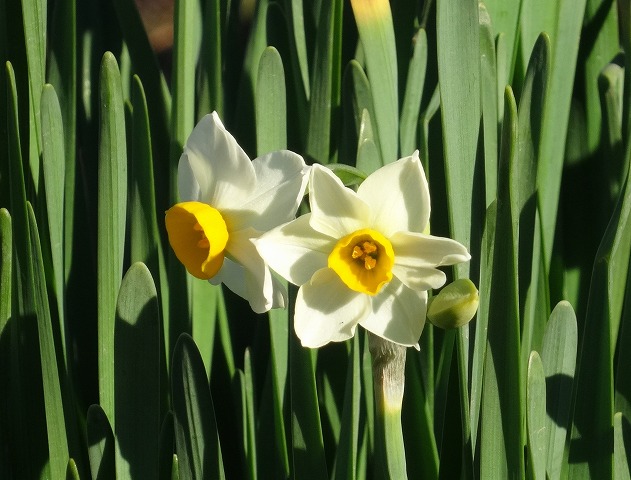 b0299042_211426.jpg