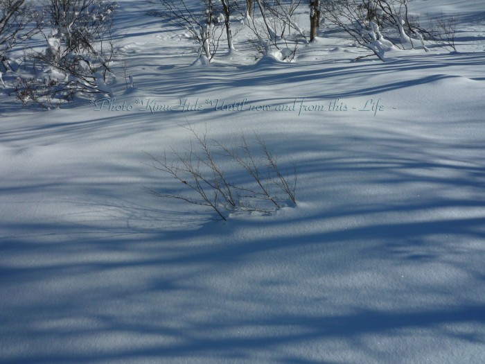 e0151944_22015223.jpg