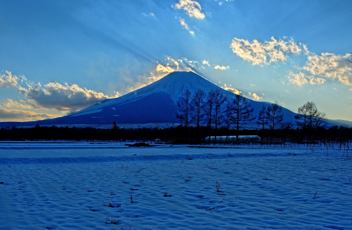 a0150260_055271.jpg