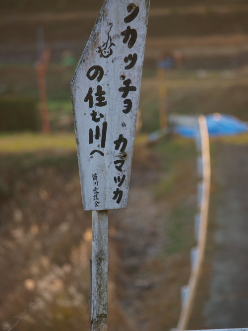 a0260570_1356253.jpg