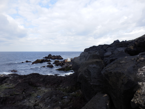 e0292172_20392934.jpg