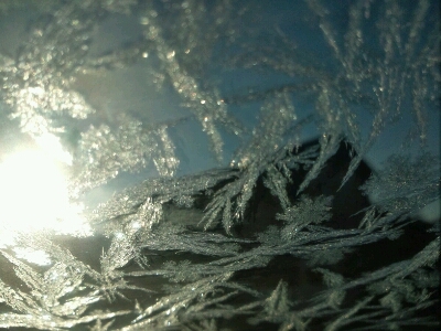 f0215475_825696.jpg