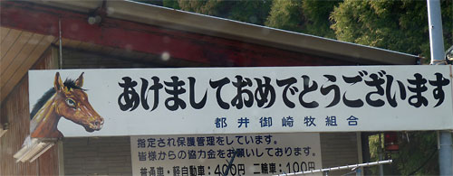 c0152779_16552248.jpg