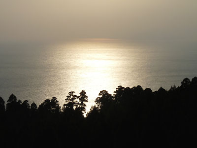 c0152779_17463.jpg