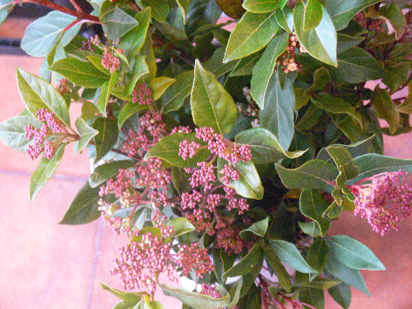 e0140986_1485972.jpg
