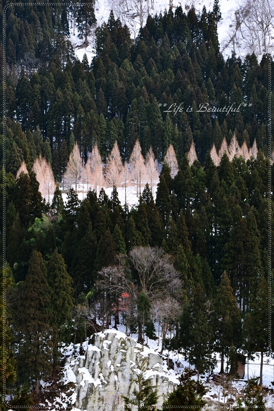 c0156789_1725444.jpg