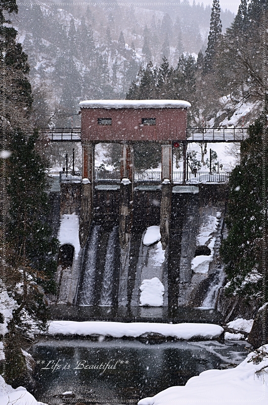 c0156789_173239.jpg