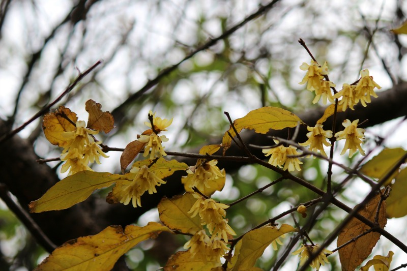 a0127090_21271250.jpg