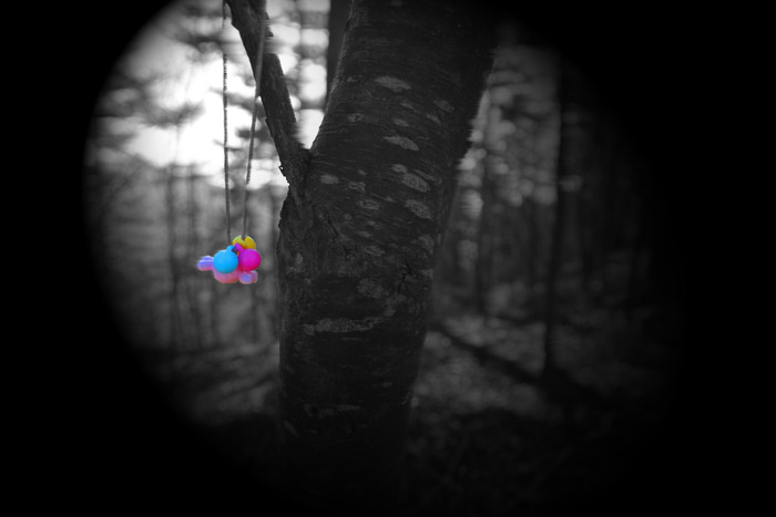 c0246290_14273959.jpg