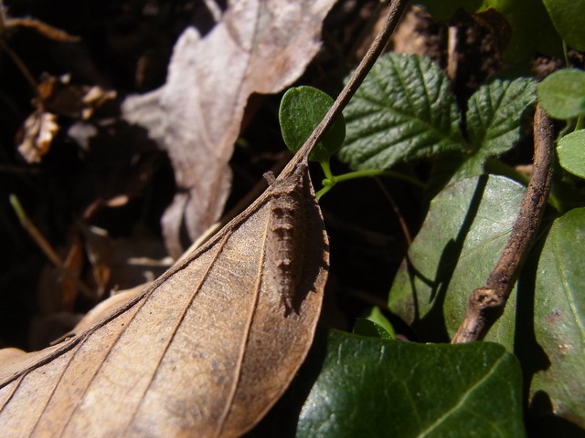 b0194593_18102334.jpg