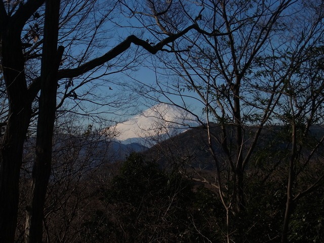 b0194593_18144074.jpg