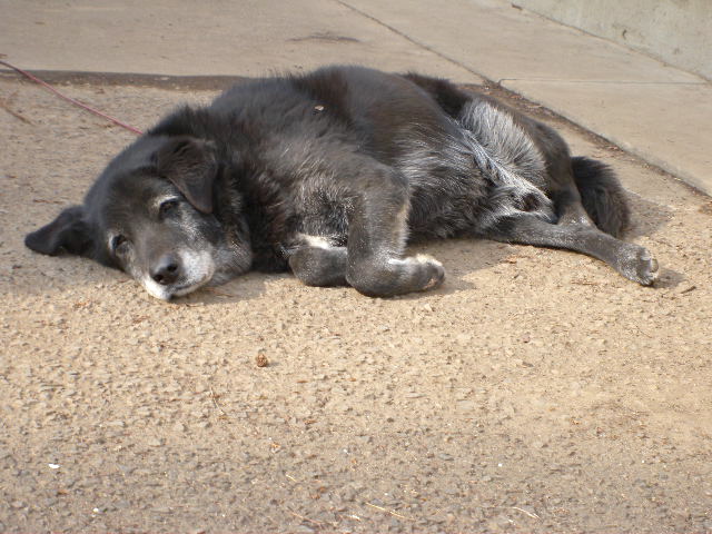 a0199297_13594982.jpg