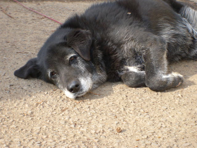 a0199297_1421377.jpg