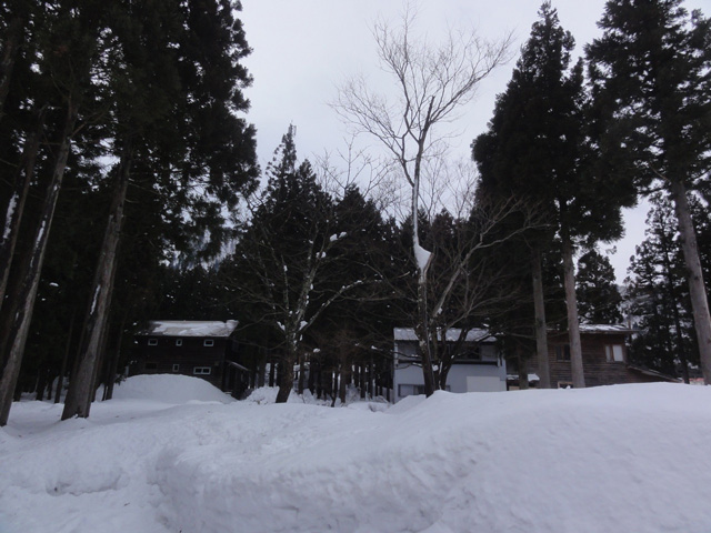 a0061599_811426.jpg